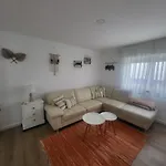 Spring Water House Olho Marinho