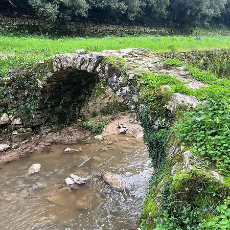 Vakantiehuis Spring Water House