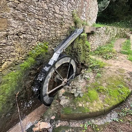 Spring Water House 別荘