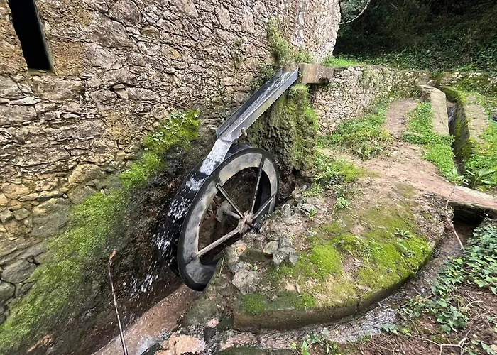 Spring Water House 別荘